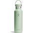  Hydration Standard Flex Cap Trinkflasche 621 ml Variante aloe