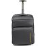  Zephyr 2 Rollen Rucksacktrolley 54 cm Laptopfach Variante graphite