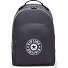  Center Curtis Daypack 43 cm Laptopfach Variante moonlit grey c