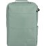  Workfloow Daypack 41 cm Laptopfach Variante salbei