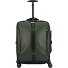  Paradiver Light 4 Rollen Kabinentrolley 55 cm Variante jungle green