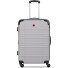  Amplar Evo 4 Rollen Trolley M 65 cm mit Dehnfalte Variante cloud