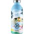  Clima Trinkflasche 500 ml Variante panorama blue