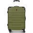  Amplar Evo 4 Rollen Trolley M 65 cm mit Dehnfalte Variante olive