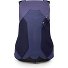  Hikelite 16 Wanderrucksack 50 cm Variante botswana purple