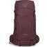 Kyte 38 Trekkingrucksack XS-S 71 cm Variante elderberry purple  Kyte 38 Trekkingrucksack XS-S 71 cm Variante elderberry purple