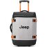  JS007C 2 Rollen Kabinentrolley 55 cm Variante grey
