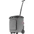  Carrycruiser Plus Einkaufstrolley 52.5 cm Variante frame twist silver