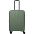  Air Stripe 4 Rollen Trolley M 66 cm mit Dehnfalte Variante green