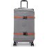  Basic Spontaneous 4 Rollen Trolley M 66 cm Variante inviting grey