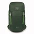 Jet 28 Wanderrucksack 55 cm Variante green canopy-limeline green Jet 28 Wanderrucksack 55 cm Variante green canopy-limeline green