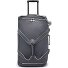  Basic Teagan 2 Rollen Reisetasche M 66 cm Variante moonlit grey