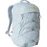  Borealis Daypack 47.5 cm Laptopfach Variante frost grey-gold metalli